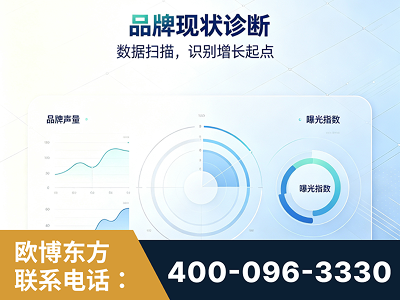 旬阳-品牌现状诊断